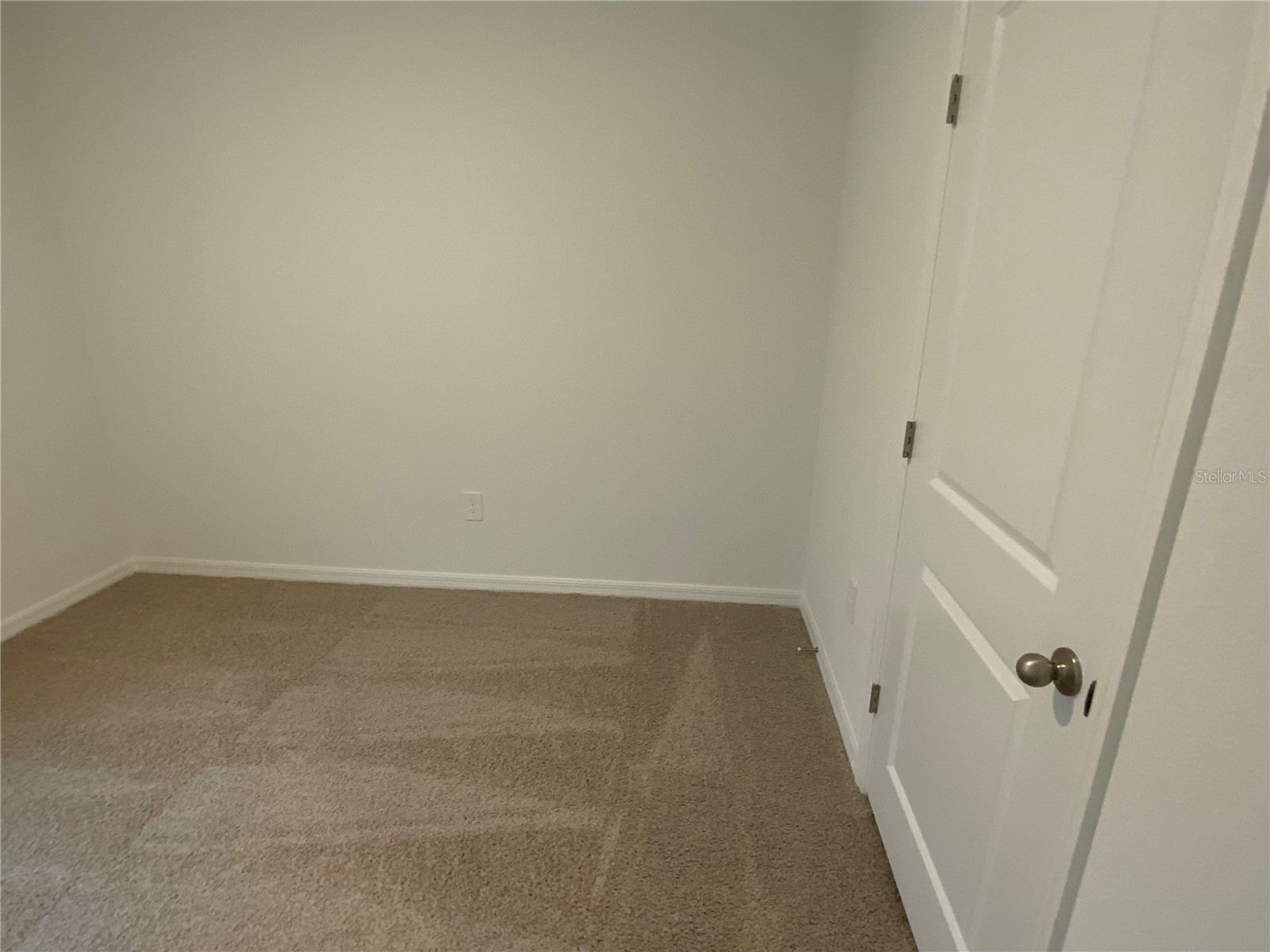 32322 Evening Grove Ct Wesley Chapel FL 33543 TB8525039 image31