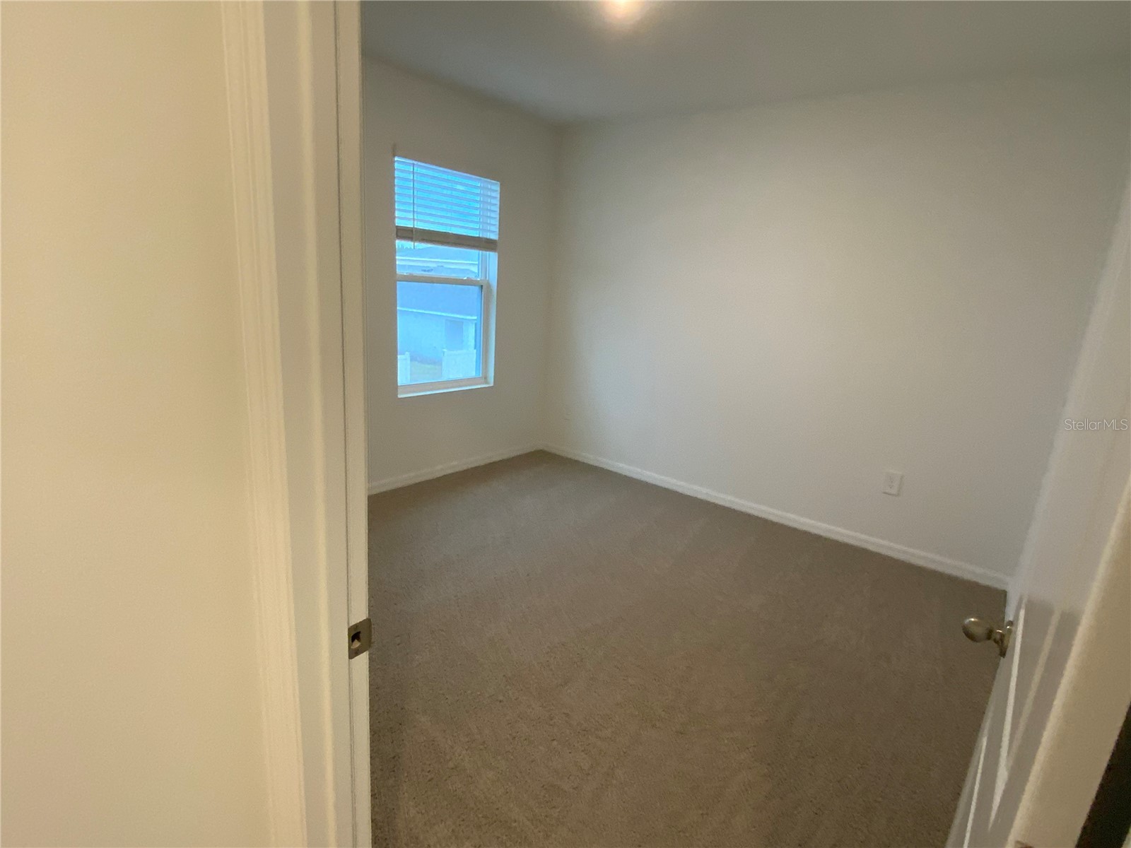 32322 Evening Grove Ct Wesley Chapel FL 33543 TB8525039 image33