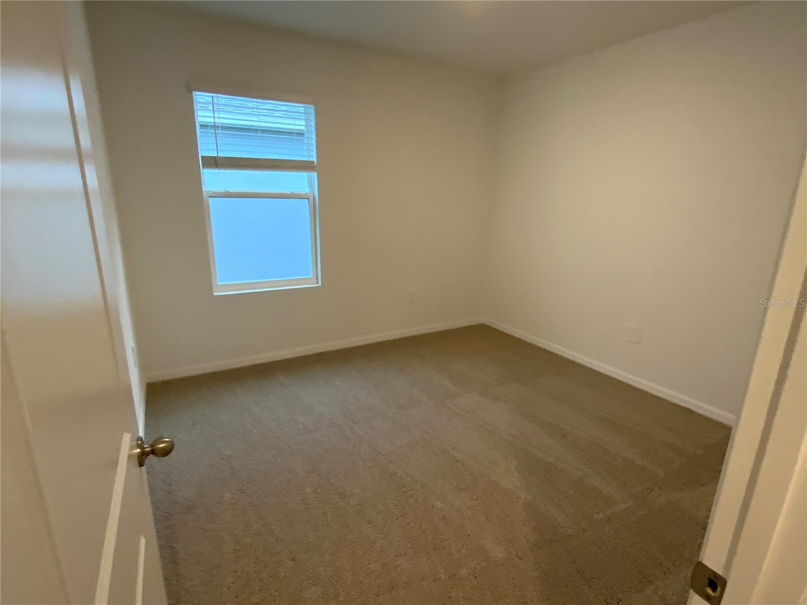 32322 Evening Grove Ct Wesley Chapel FL 33543 TB8525039 image36