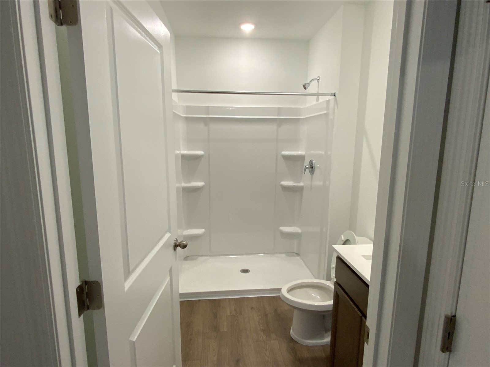 32322 Evening Grove Ct Wesley Chapel FL 33543 TB8525039 image8