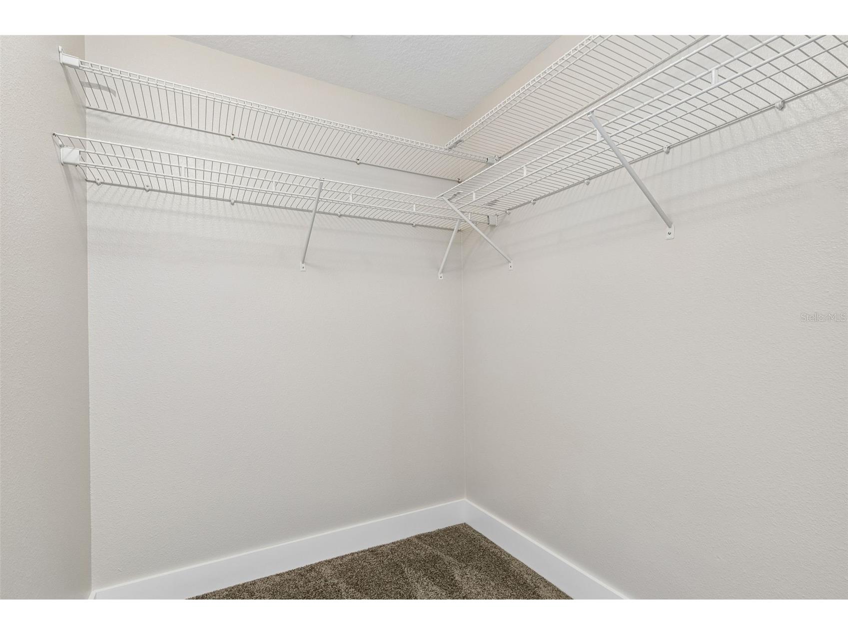 32323 Fish Hook Loop Wesley Chapel FL 33545 O6423137 image27