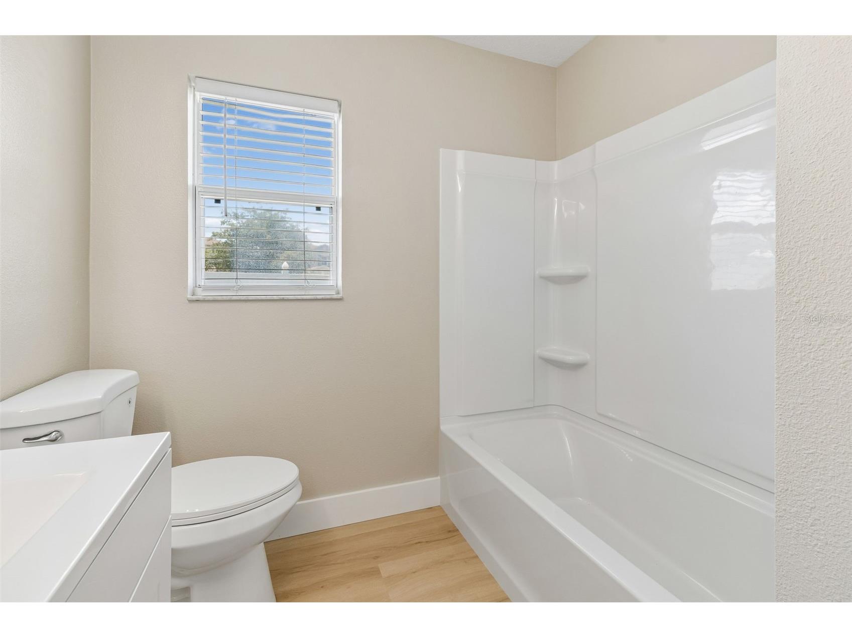 32323 Fish Hook Loop Wesley Chapel FL 33545 O6423137 image29