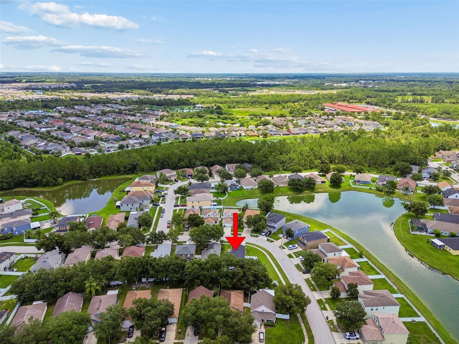 32323 Fish Hook Loop Wesley Chapel FL 33545 O6423137 image59
