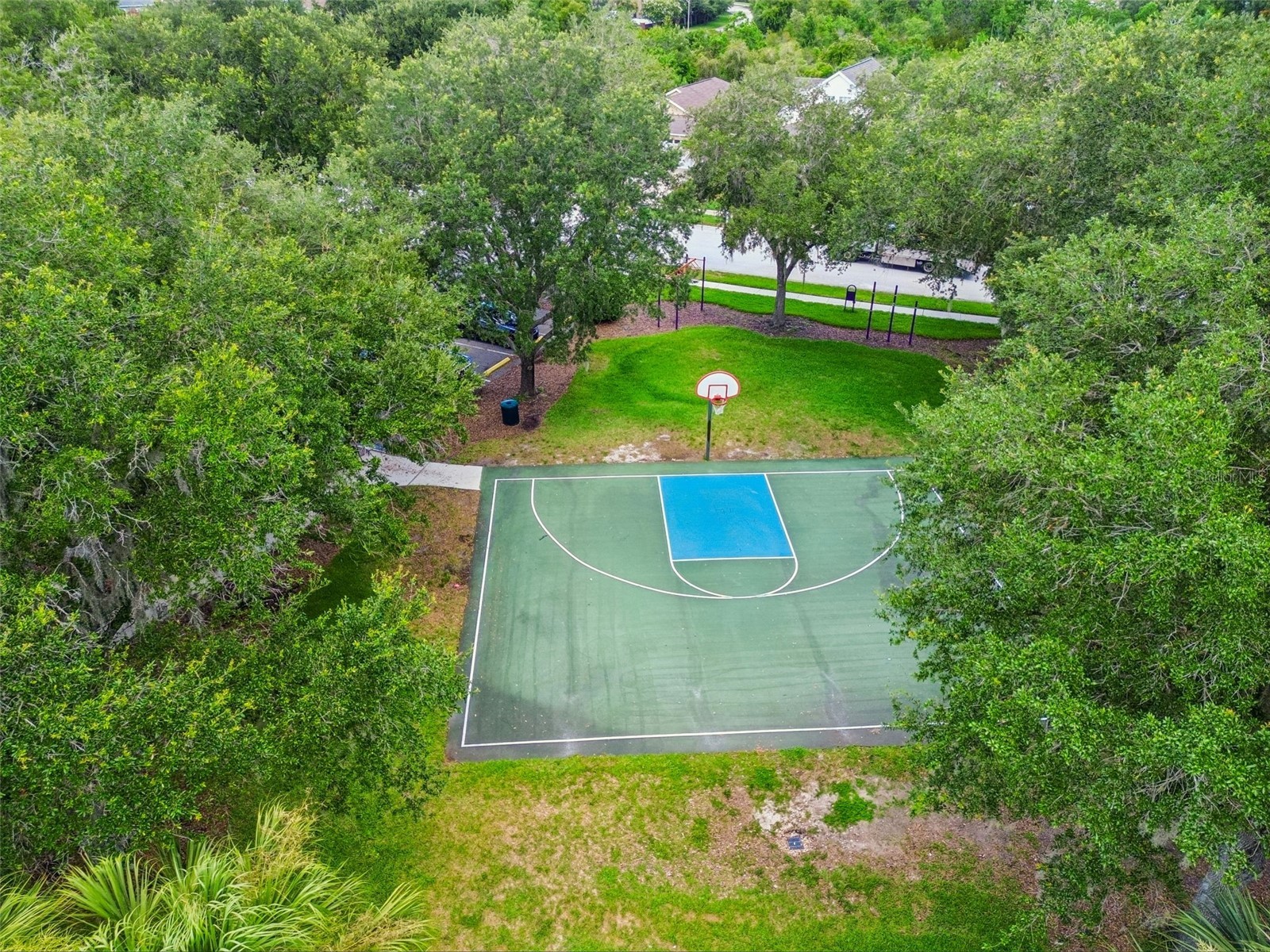 32323 Fish Hook Loop Wesley Chapel FL 33545 O6423137 image66