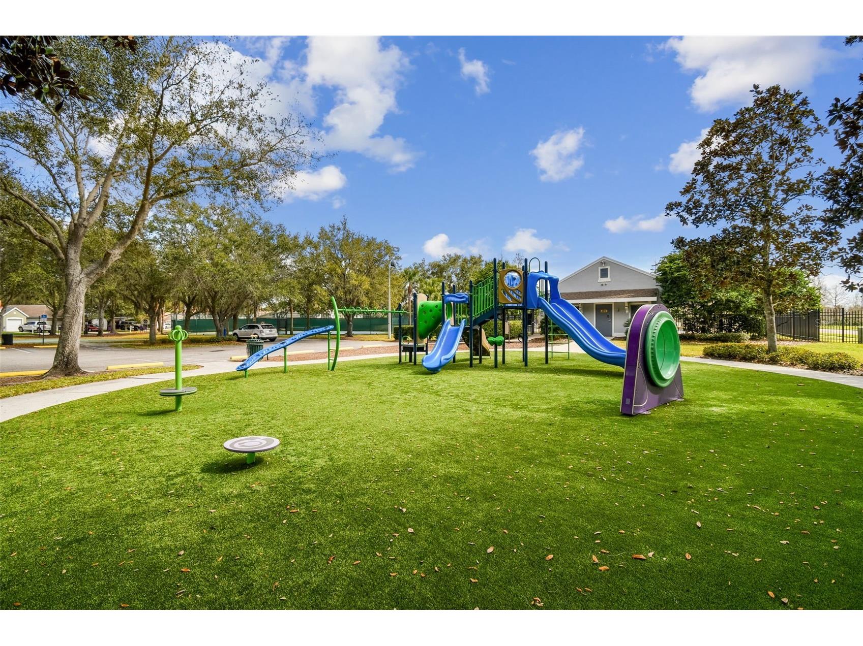 32323 Fish Hook Loop Wesley Chapel FL 33545 O6423137 image71