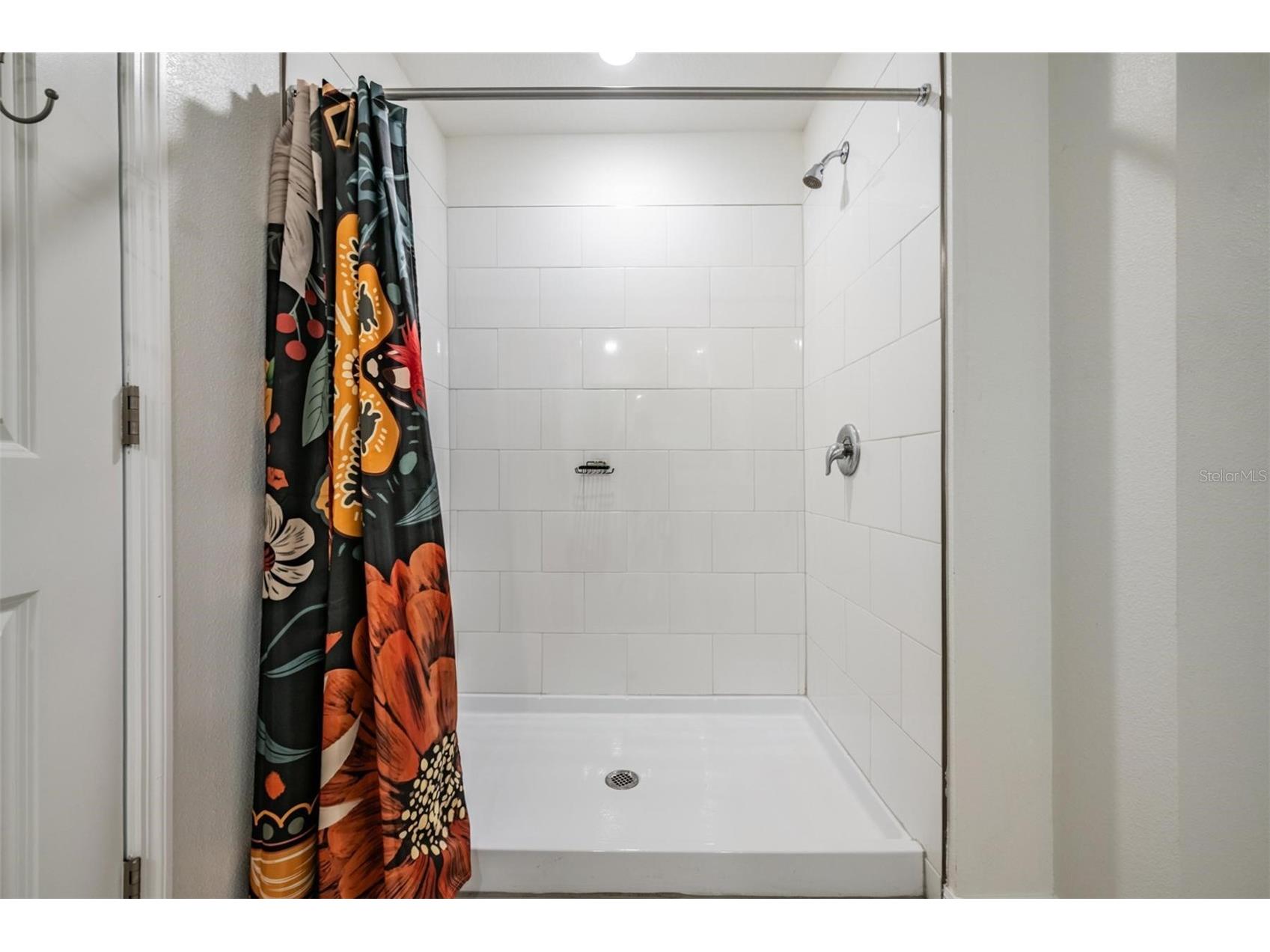 32325 Wishing Haven Drive San Antonio FL 33576 TB8469339 image20
