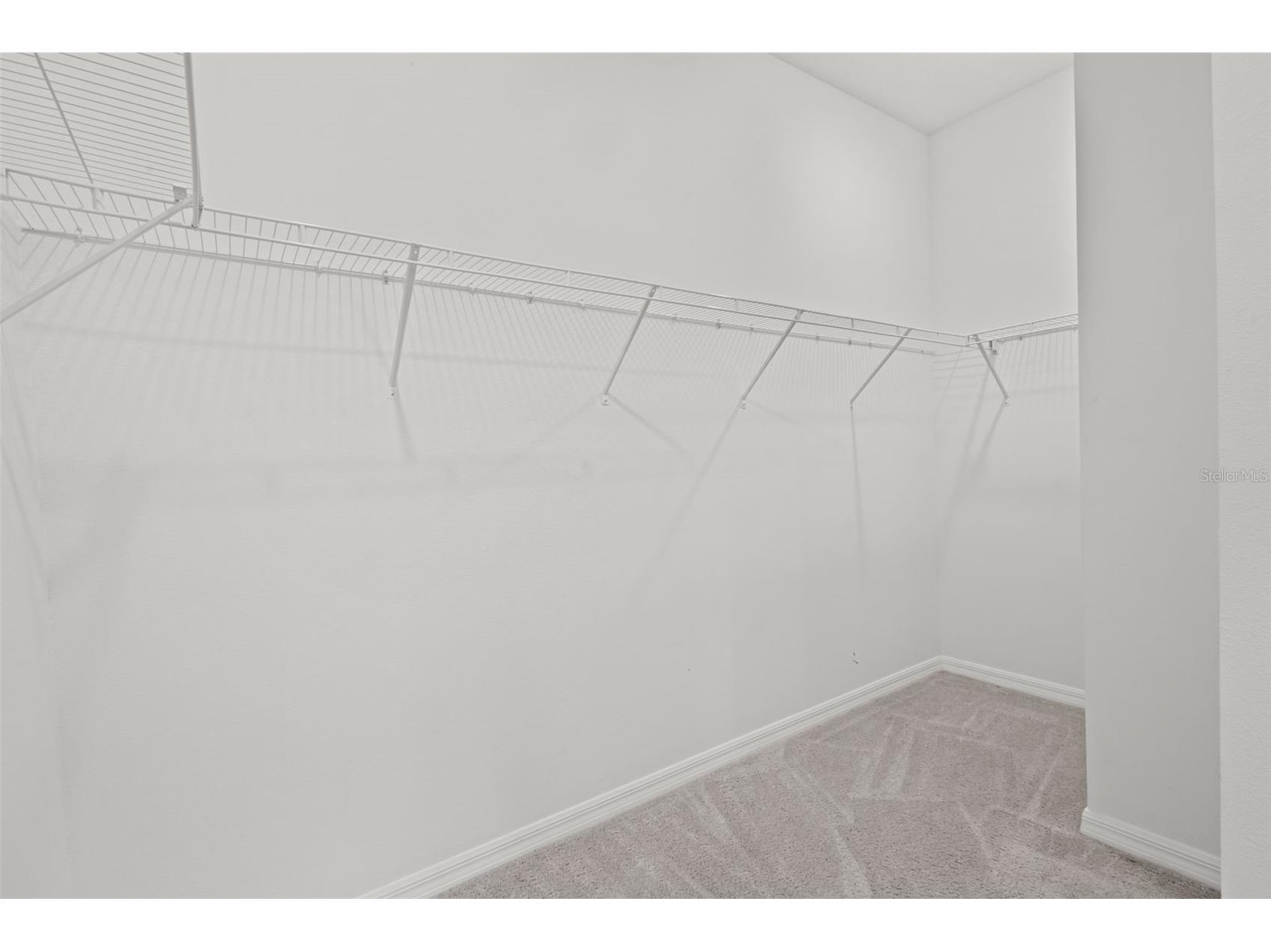 32326 Conchshell Sail Street Wesley Chapel FL 33545 TB8475400 image19