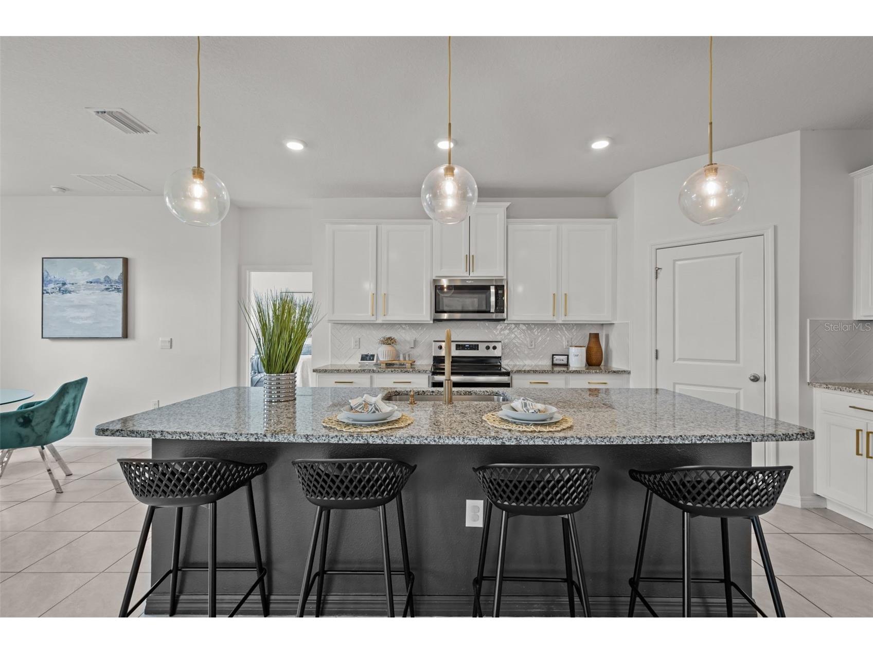 32326 Conchshell Sail Street Wesley Chapel FL 33545 TB8475400 image3