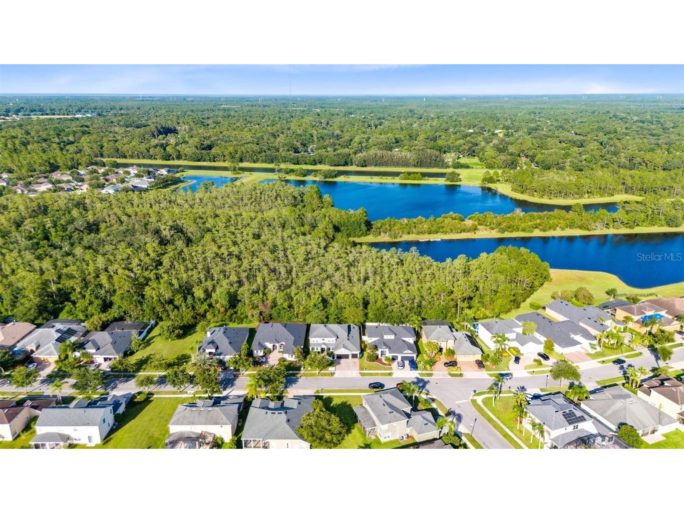 3233 Curving Oaks Way Orlando FL 32820 O6328698 image8