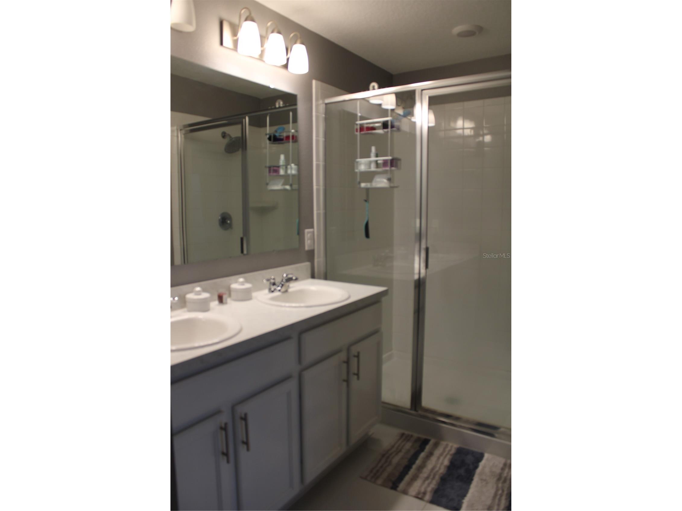 3233 Eagle Hammock Circle Kissimmee FL 34743 S5131389 image15