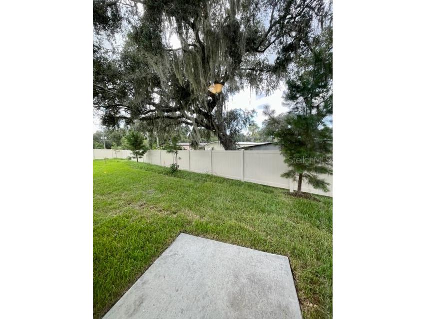 3233 Fresno Place Zephyrhills FL 33543 O6316389 image14