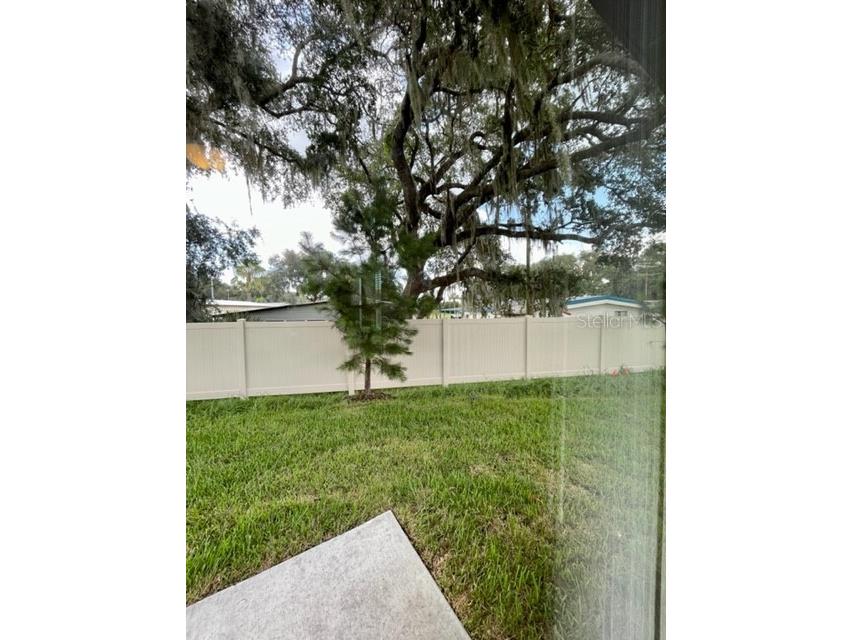 3233 Fresno Place Zephyrhills FL 33543 O6316389 image15