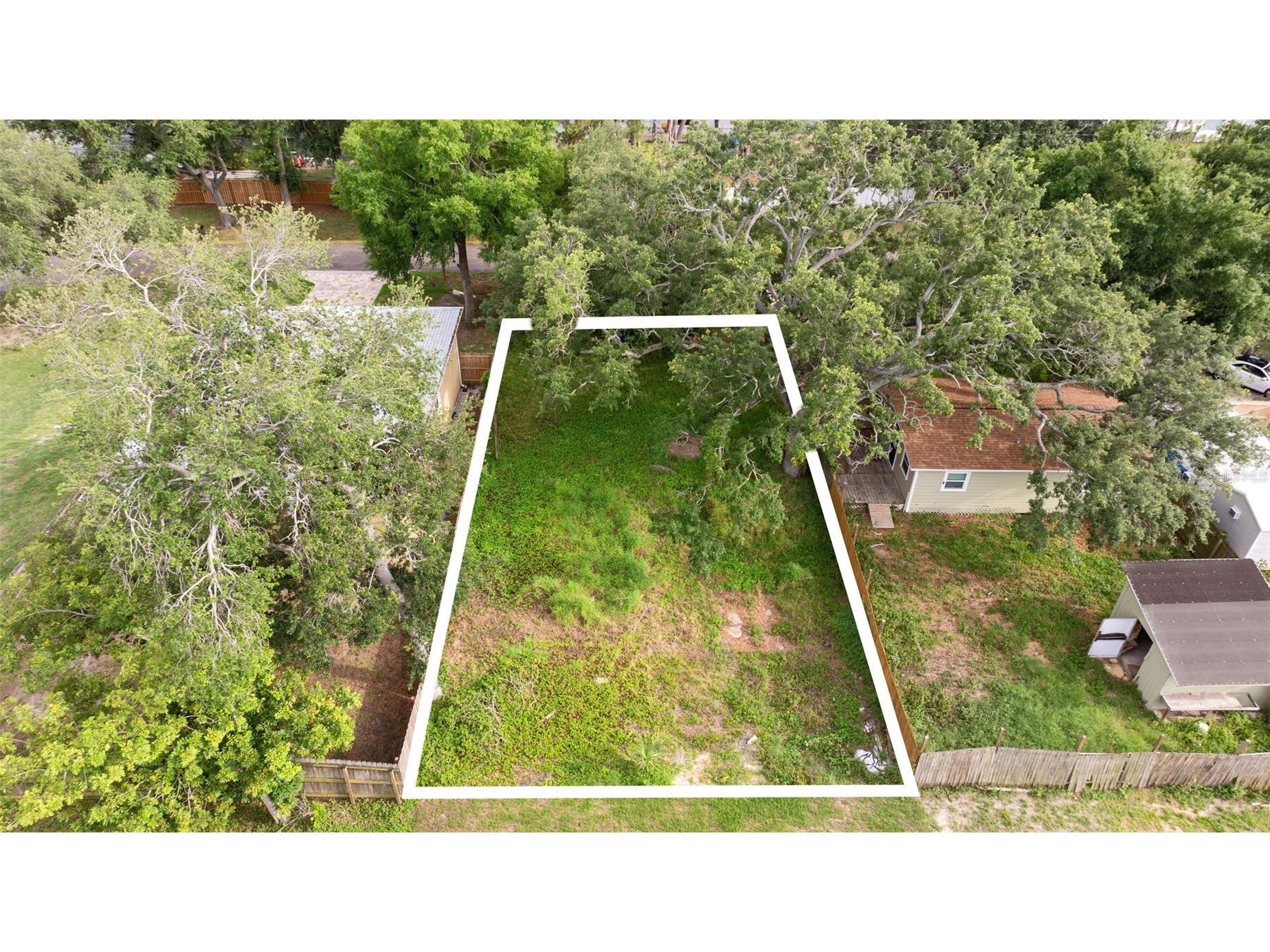 3233 Laurel Avenue Clearwater FL 33762 TB8515541 image3