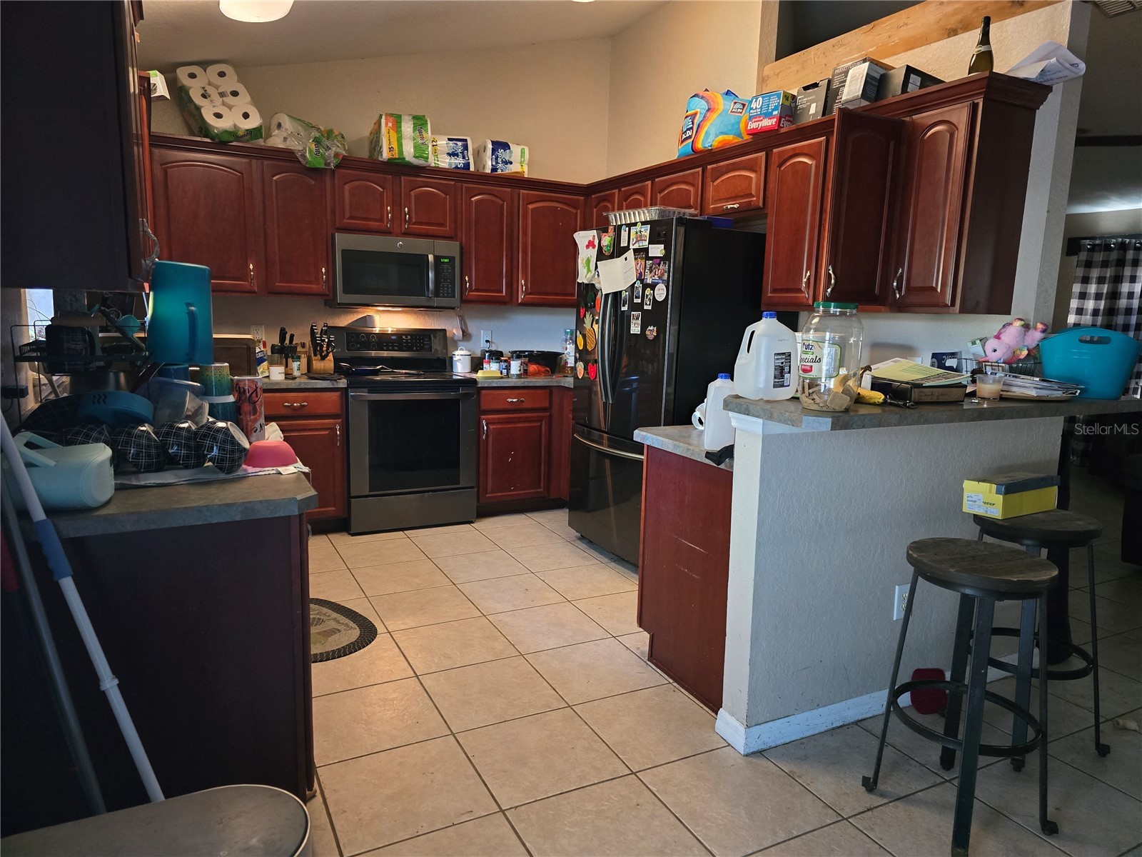 3233 SE 145th Street Summerfield FL 34491 O6378312 image4