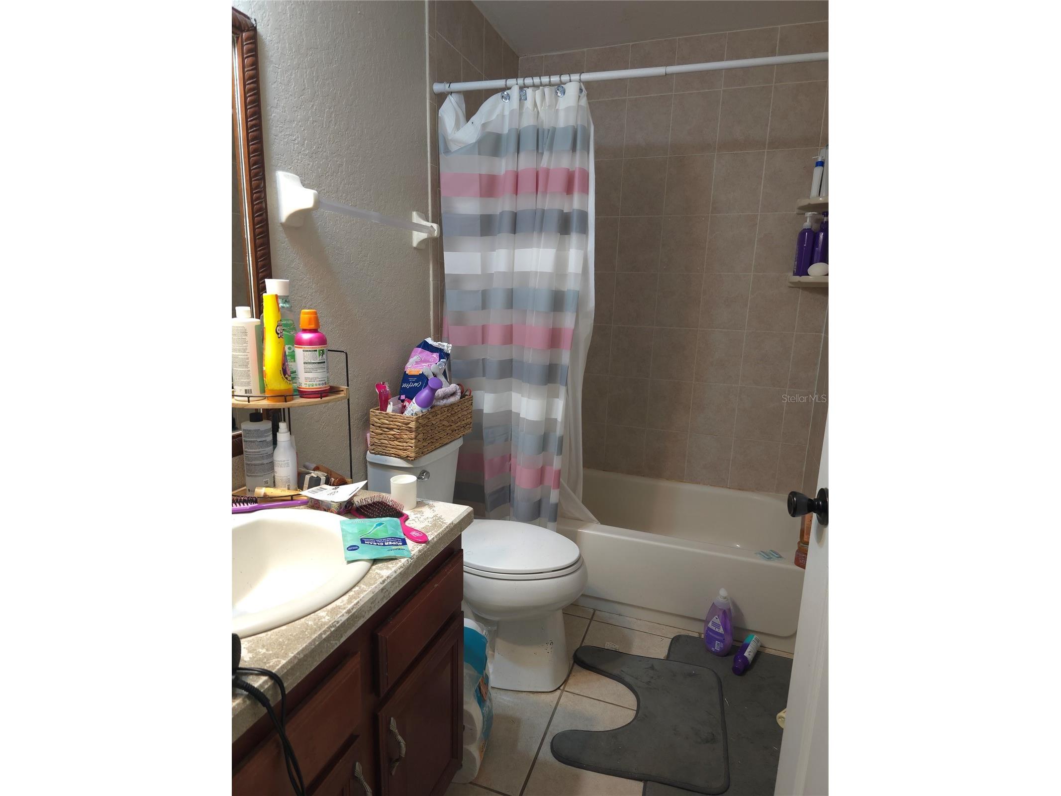 3233 SE 145th Street Summerfield FL 34491 O6378312 image6