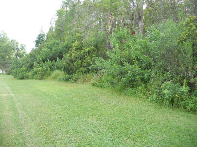 3233 Whitley Bay Court Land O Lakes FL 34638 TB8417353 image10