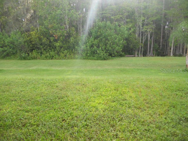 3233 Whitley Bay Court Land O Lakes FL 34638 TB8417353 image6