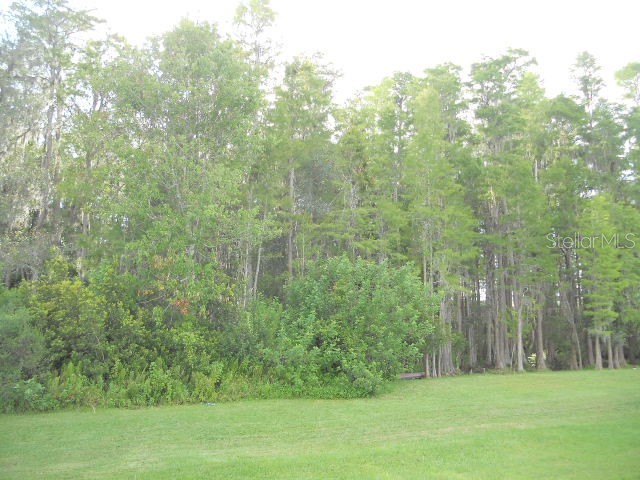 3233 Whitley Bay Court Land O Lakes FL 34638 TB8417353 image7