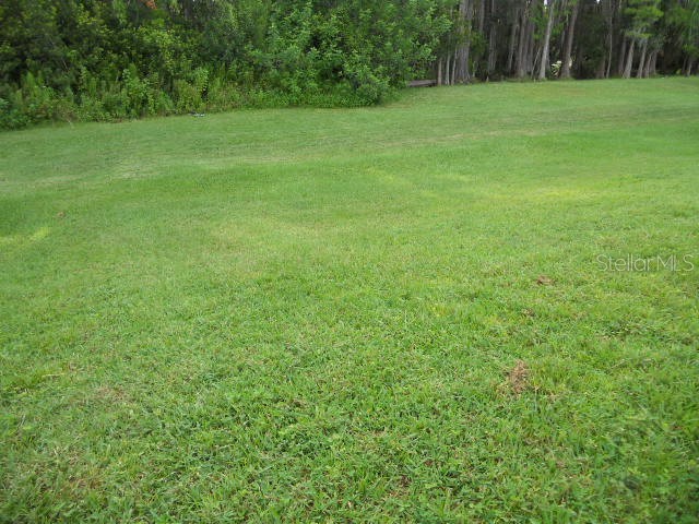 3233 Whitley Bay Court Land O Lakes FL 34638 TB8417353 image8