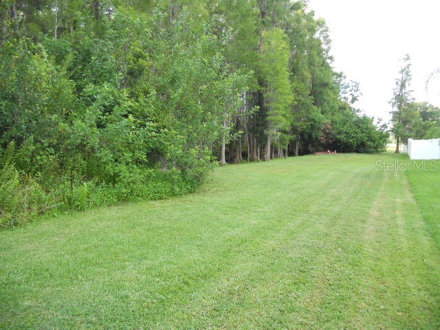 3233 Whitley Bay Court Land O Lakes FL 34638 TB8417353 image9