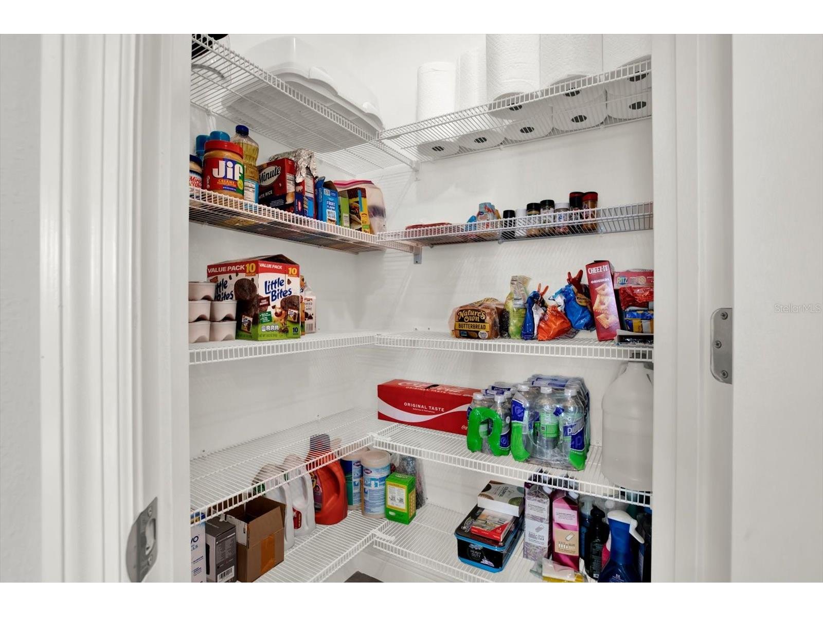 32332 Rosepine Boulevard Wesley Chapel FL 33543 TB8513162 image19