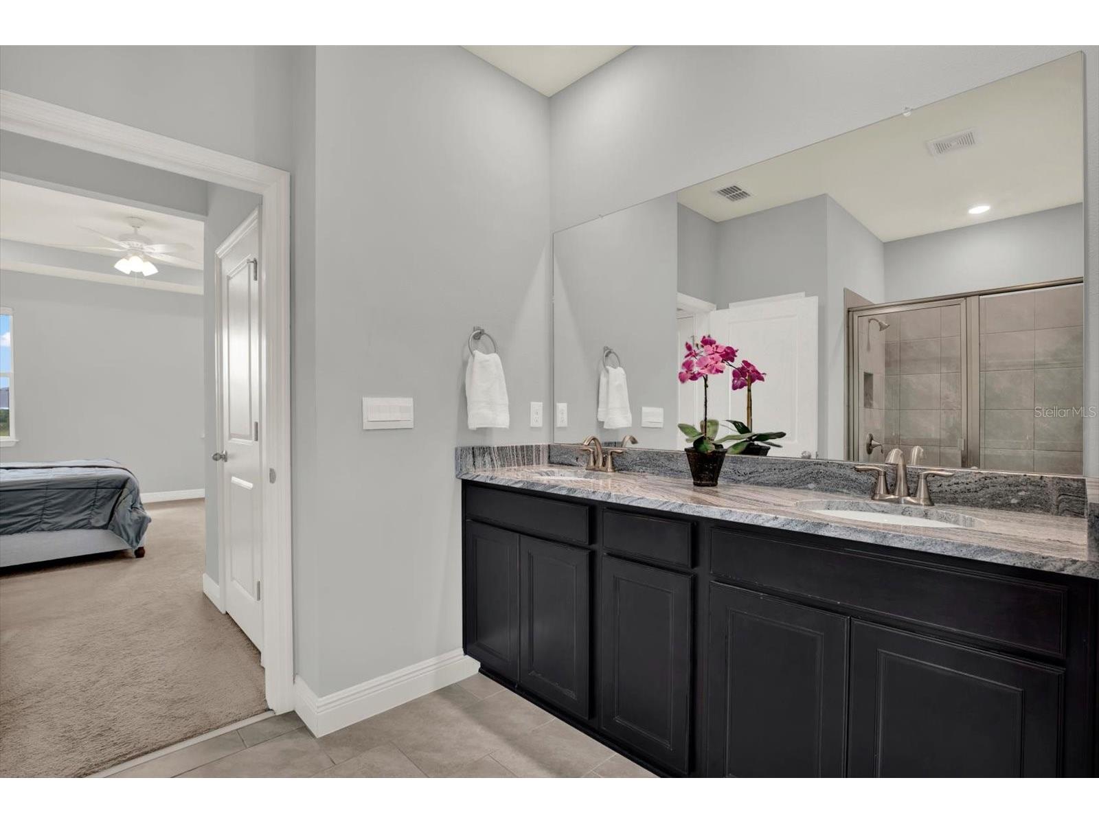 32332 Rosepine Boulevard Wesley Chapel FL 33543 TB8513162 image28