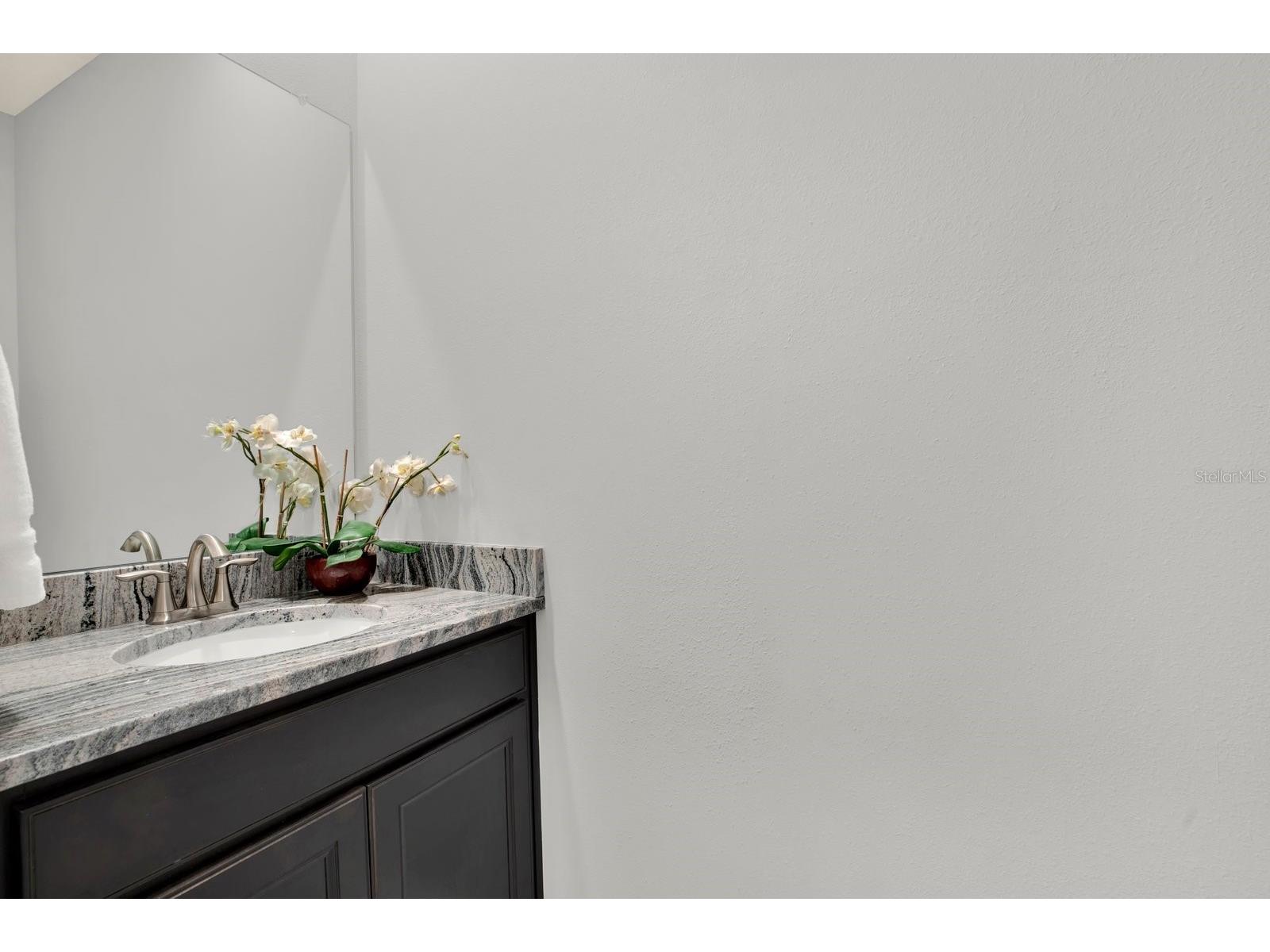 32332 Rosepine Boulevard Wesley Chapel FL 33543 TB8513162 image39