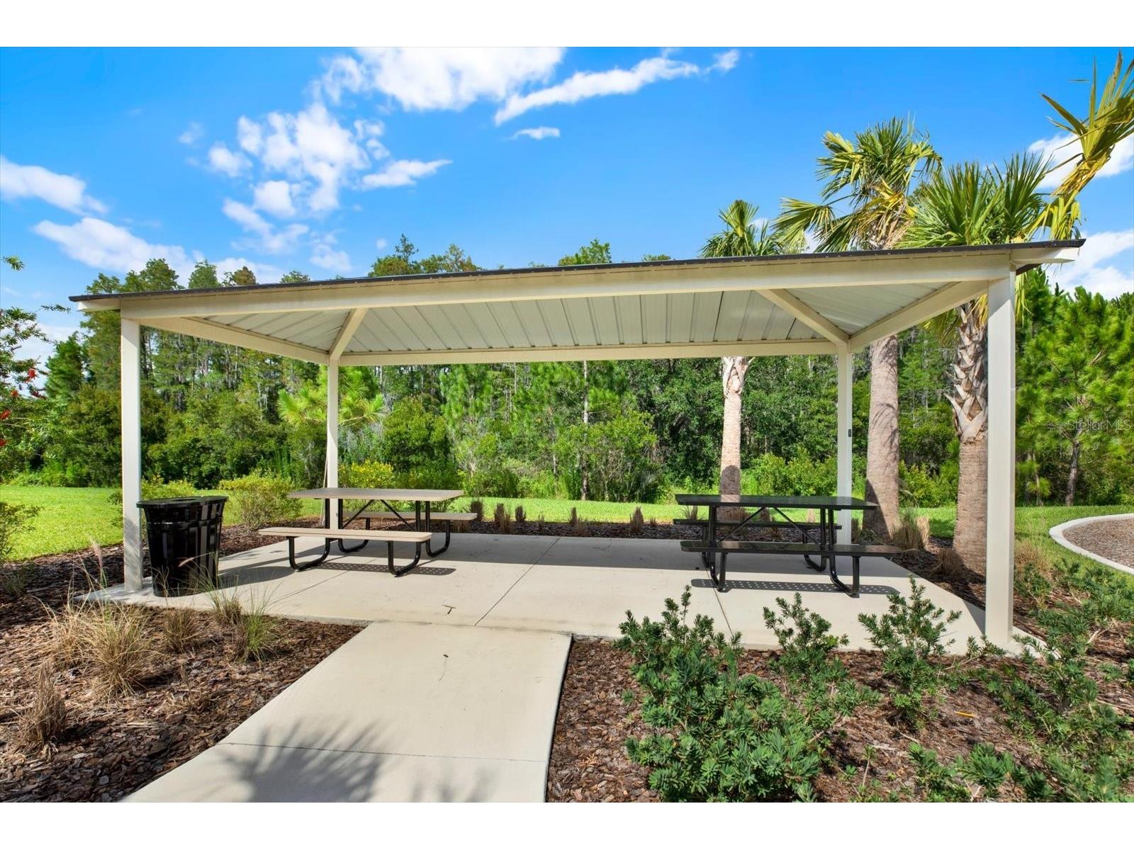 32332 Rosepine Boulevard Wesley Chapel FL 33543 TB8513162 image56