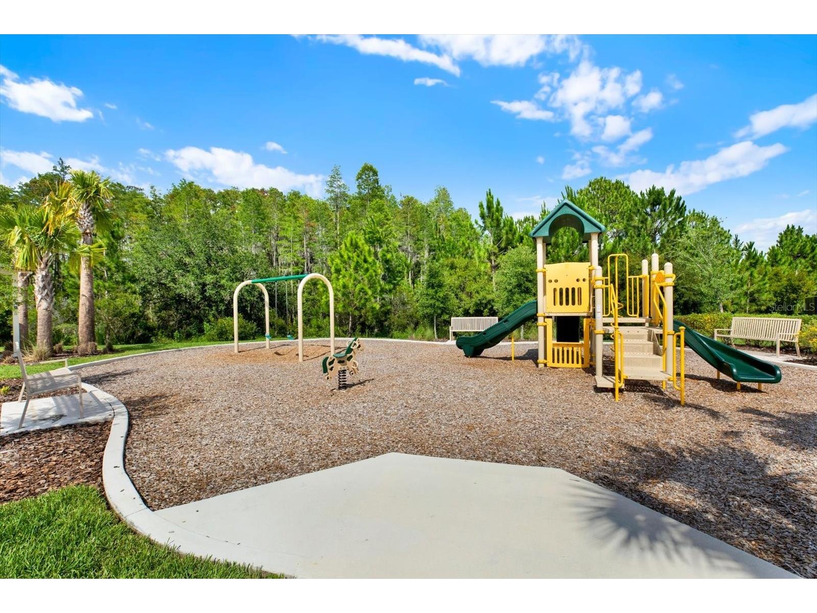 32332 Rosepine Boulevard Wesley Chapel FL 33543 TB8513162 image57