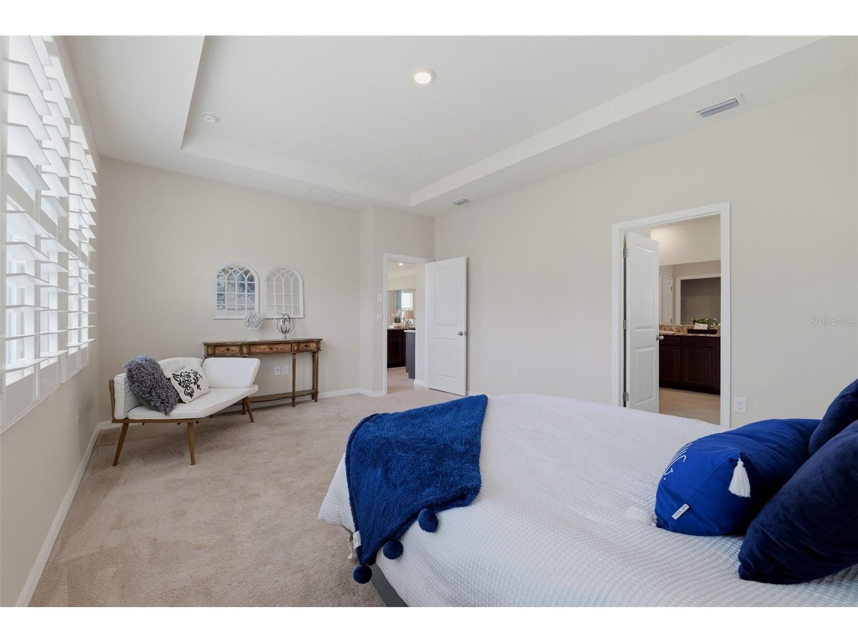 32337 Conchshell Sail Street Wesley Chapel FL 33545 TB8514700 image23