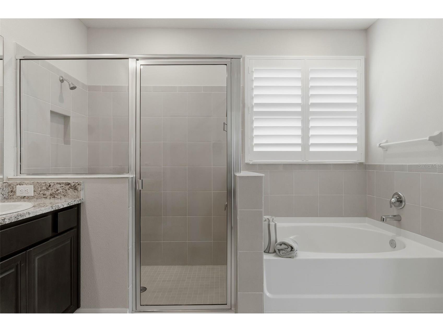 32337 Conchshell Sail Street Wesley Chapel FL 33545 TB8514700 image26