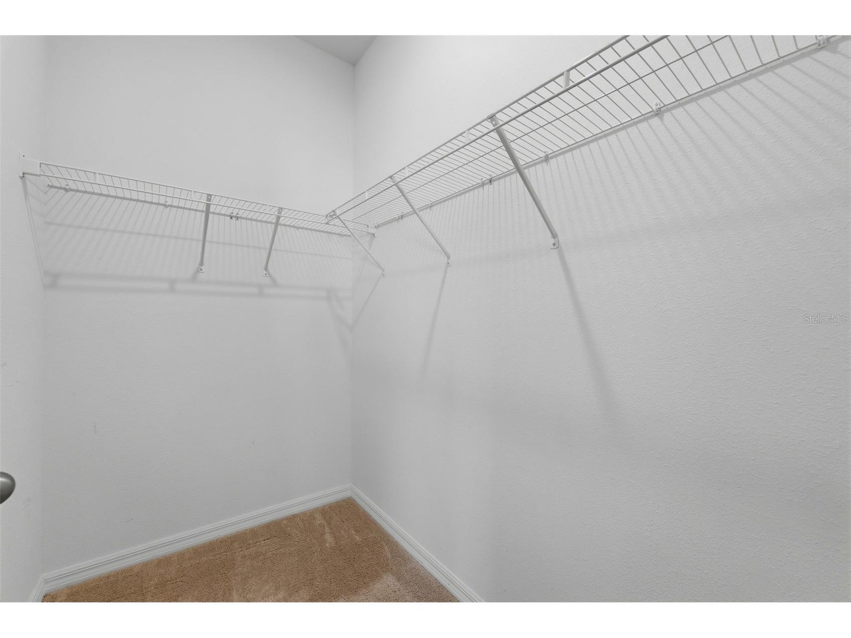 32337 Conchshell Sail Street Wesley Chapel FL 33545 TB8514700 image28