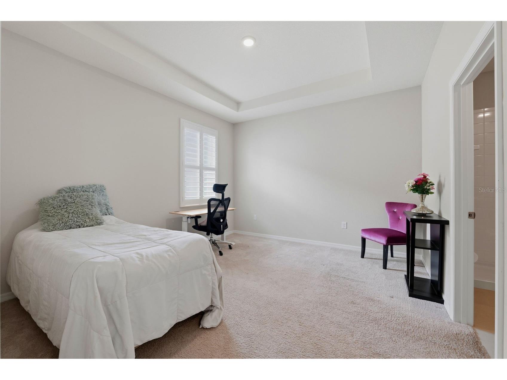 32337 Conchshell Sail Street Wesley Chapel FL 33545 TB8514700 image41