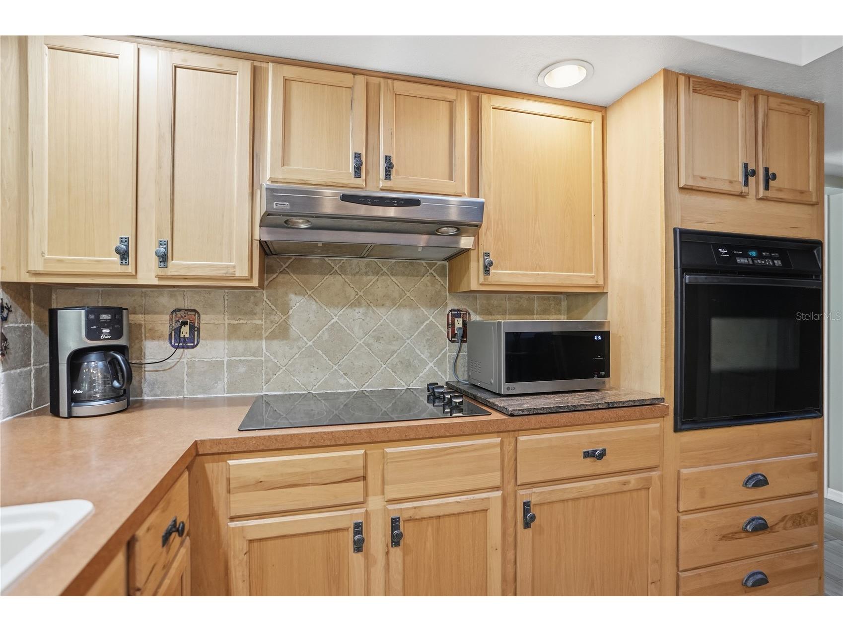 3234 Abeline Road Spring Hill FL 34608 W7882234 image12