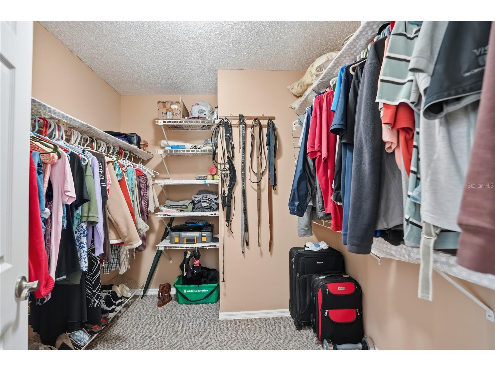 3234 Abeline Road Spring Hill FL 34608 W7882234 image23