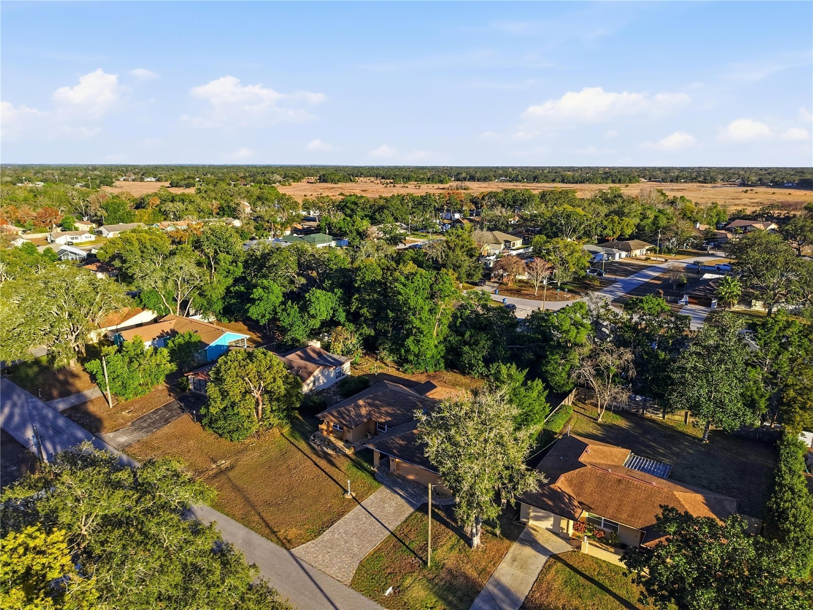 3234 Abeline Road Spring Hill FL 34608 W7882234 image34