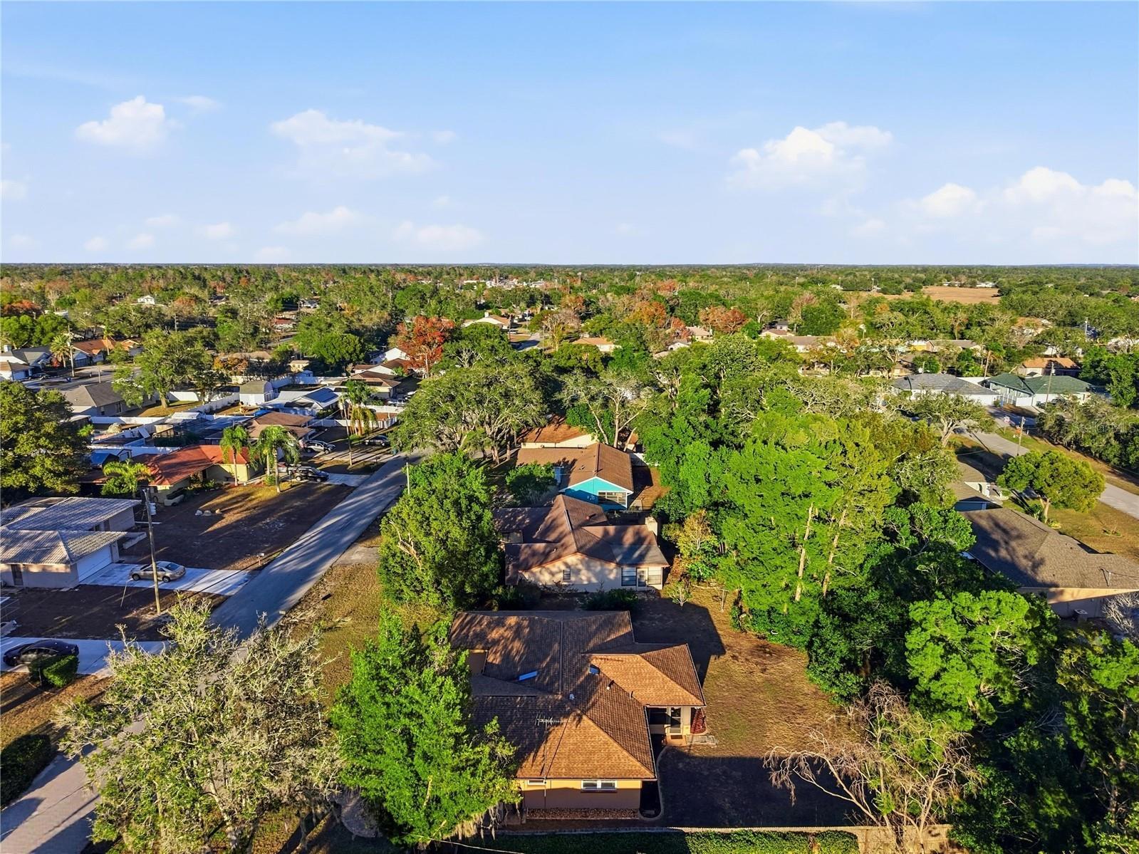 3234 Abeline Road Spring Hill FL 34608 W7882234 image35