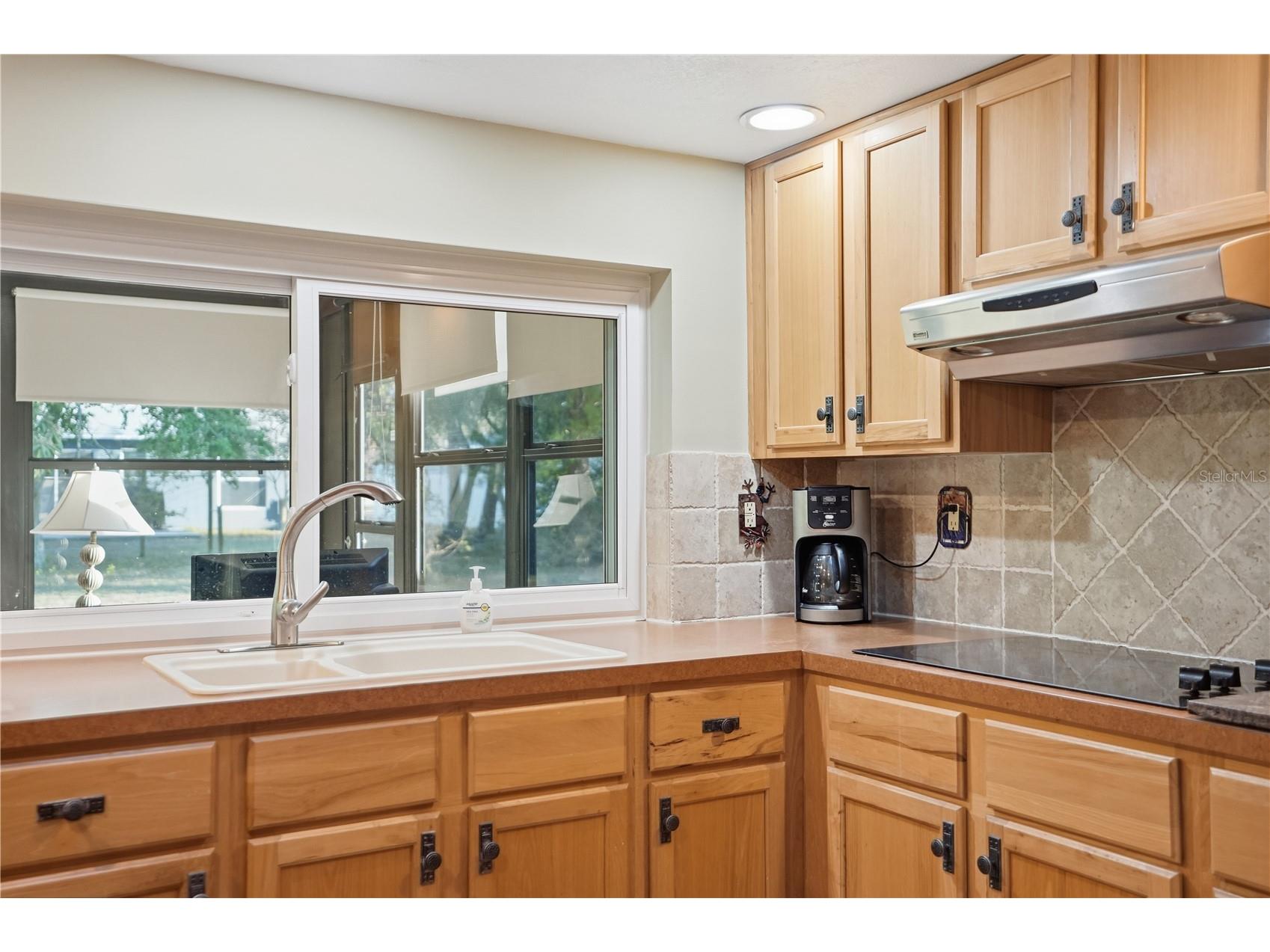 3234 Abeline Road Spring Hill FL 34608 W7882234 image9