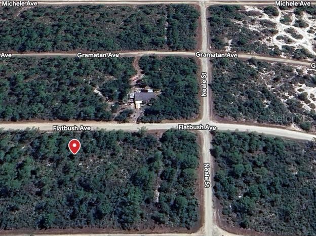 3234 Flatbush Avenue Lake Placid FL 33852 A4673024 image3