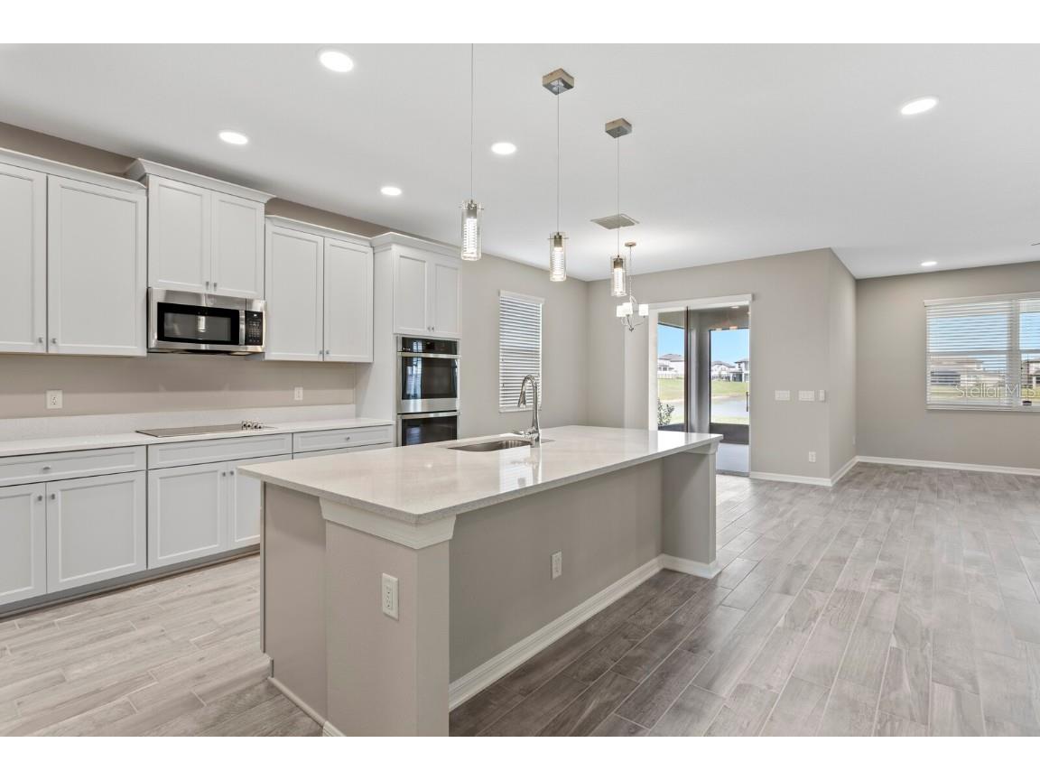 32346 Sapna Chime Drive Wesley Chapel FL 33545 TB8347904 image11