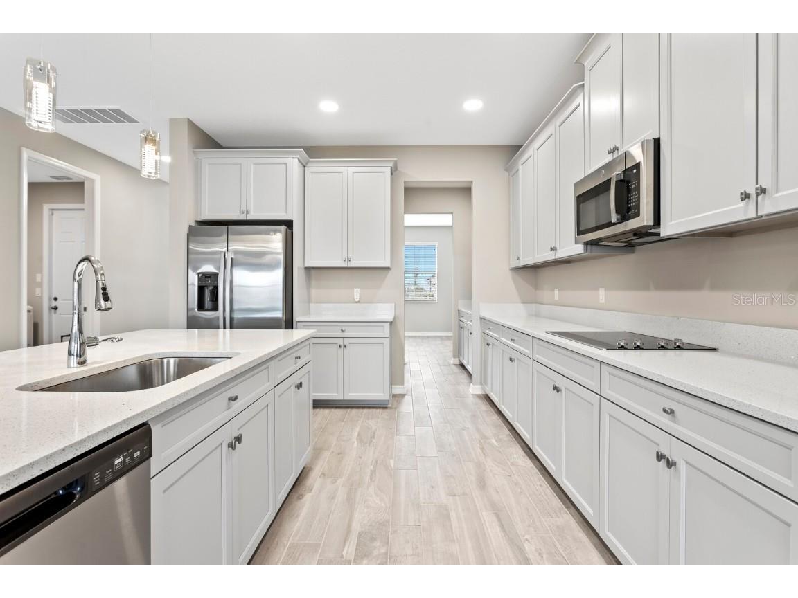 32346 Sapna Chime Drive Wesley Chapel FL 33545 TB8347904 image12