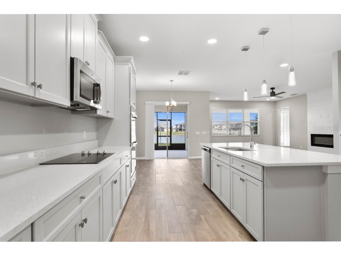 32346 Sapna Chime Drive Wesley Chapel FL 33545 TB8347904 image13