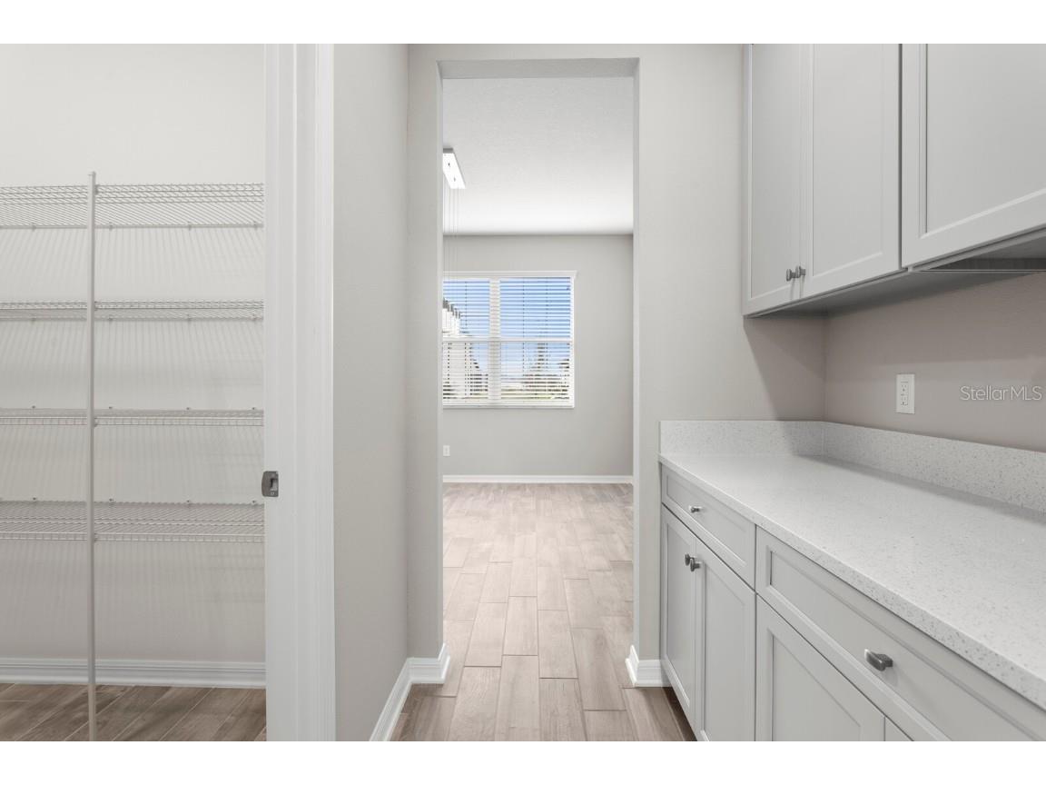 32346 Sapna Chime Drive Wesley Chapel FL 33545 TB8347904 image15