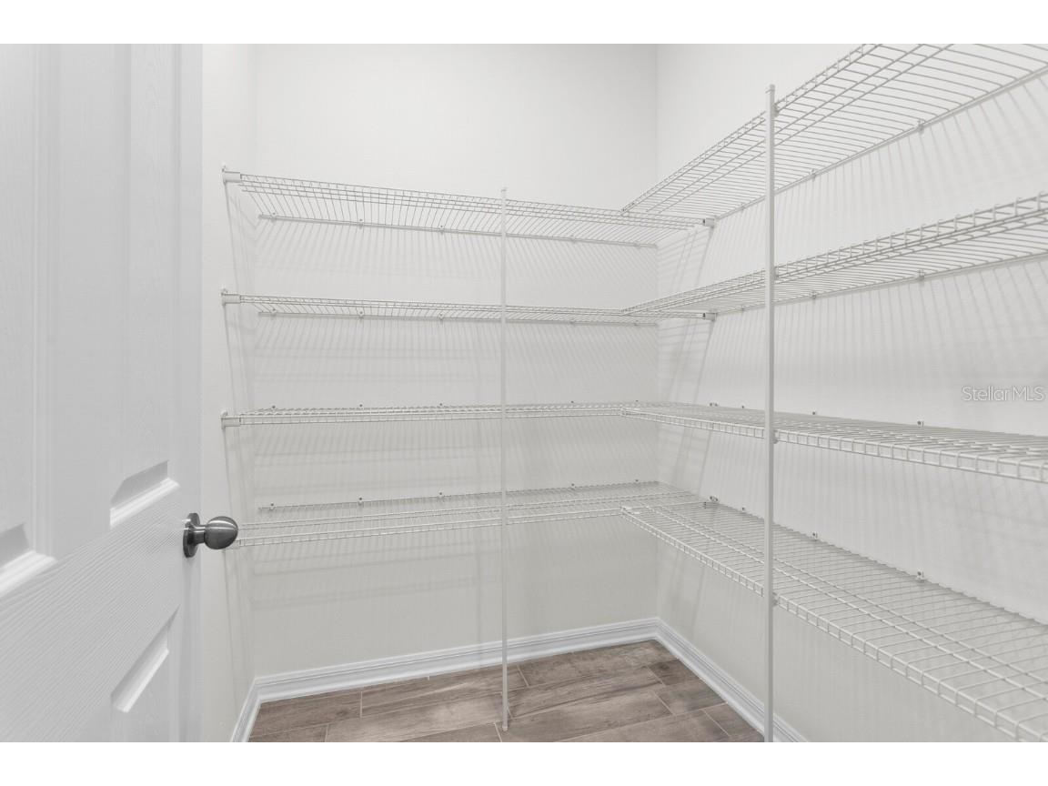 32346 Sapna Chime Drive Wesley Chapel FL 33545 TB8347904 image16