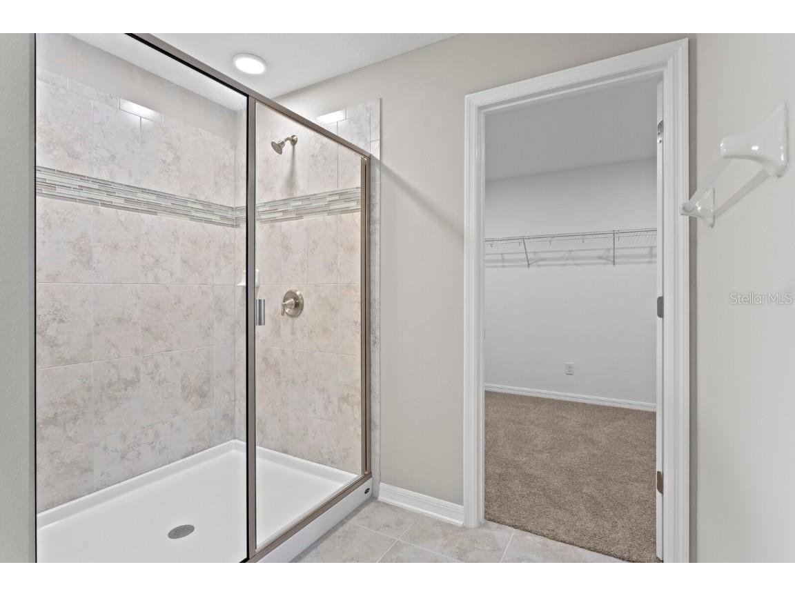 32346 Sapna Chime Drive Wesley Chapel FL 33545 TB8347904 image26