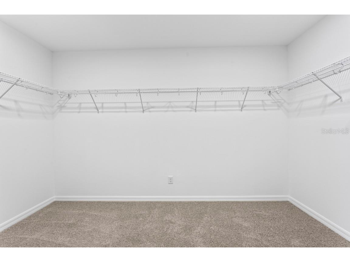 32346 Sapna Chime Drive Wesley Chapel FL 33545 TB8347904 image27