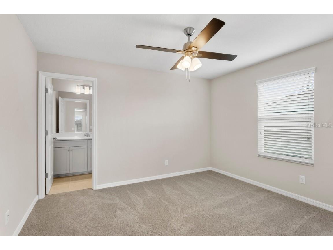 32346 Sapna Chime Drive Wesley Chapel FL 33545 TB8347904 image29