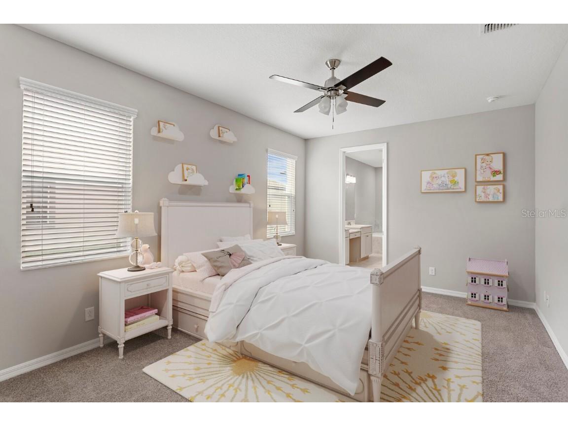 32346 Sapna Chime Drive Wesley Chapel FL 33545 TB8347904 image37