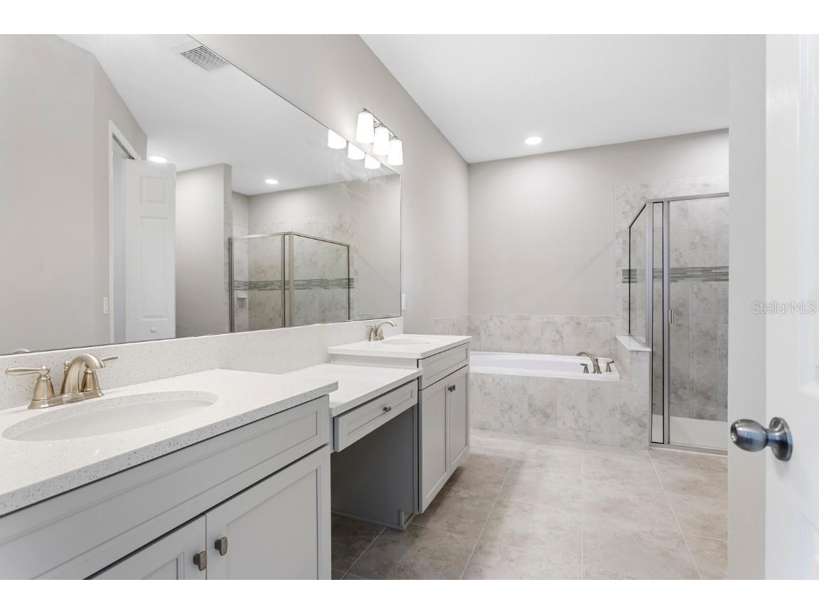 32346 Sapna Chime Drive Wesley Chapel FL 33545 TB8347904 image39