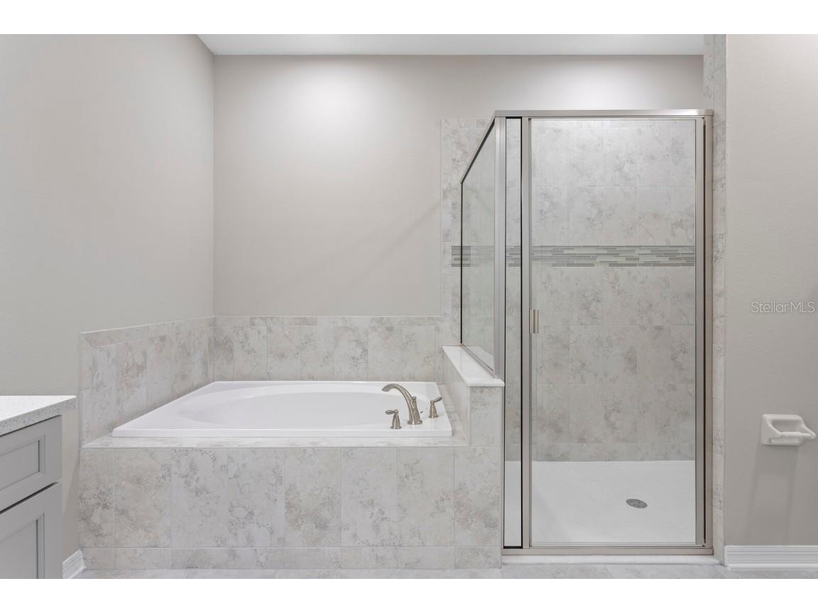 32346 Sapna Chime Drive Wesley Chapel FL 33545 TB8347904 image40